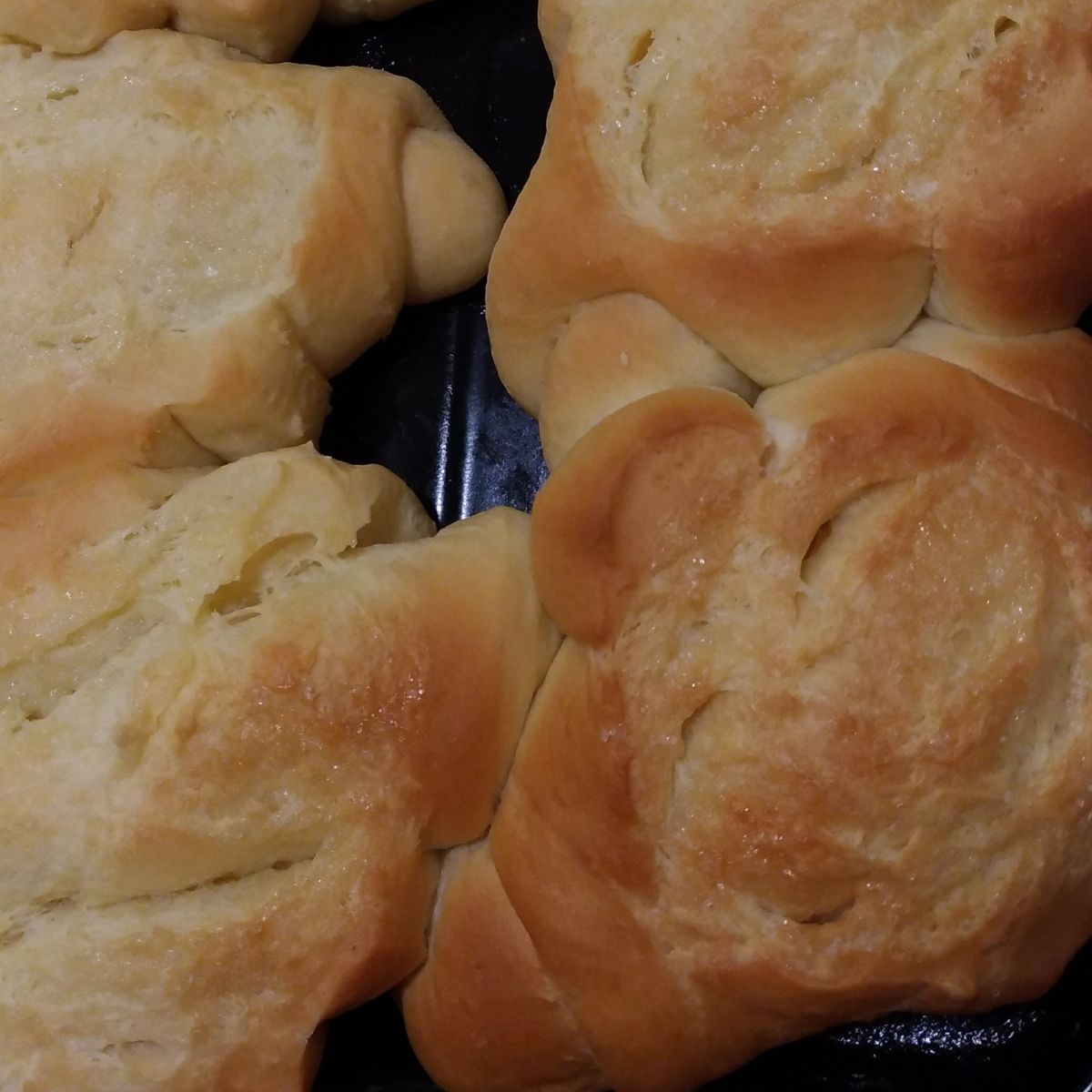 Carol Chen 一起做