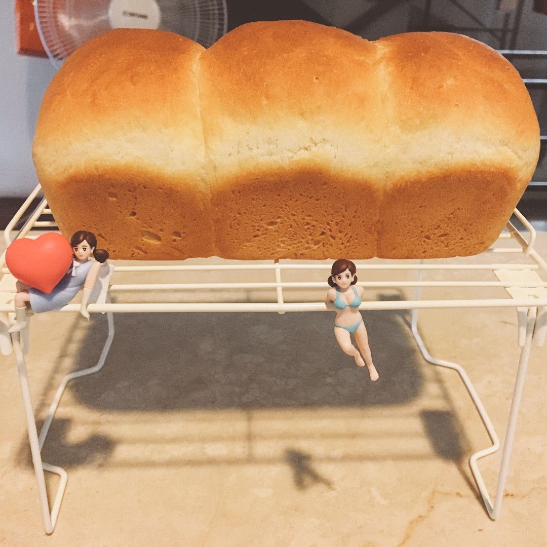 テイ小羊 一起做