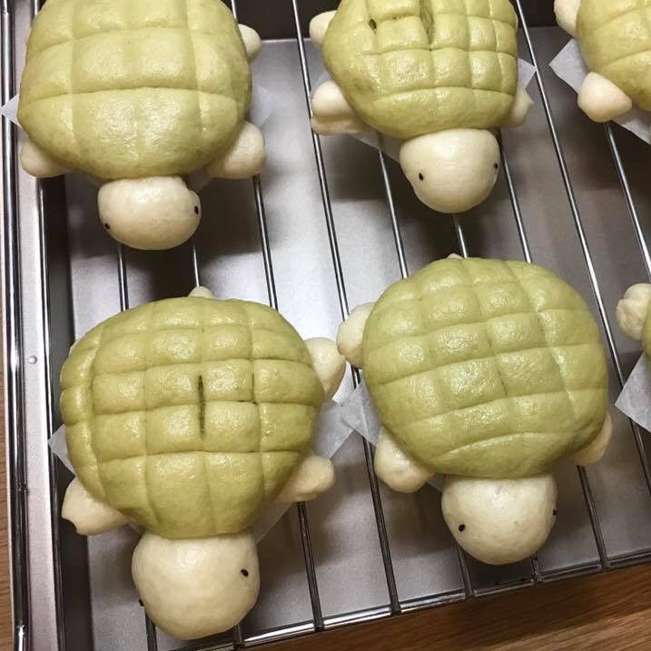 Shi Yu Fan 一起做