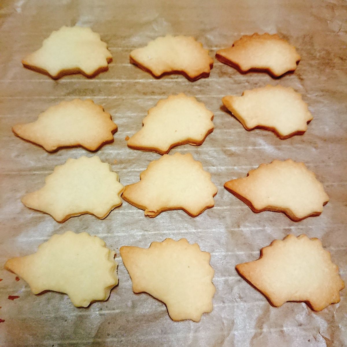 CaMeow筷子料理 一起做