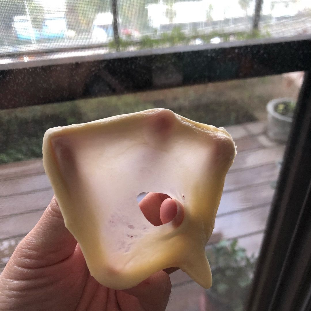 Pigleg Huang 一起做