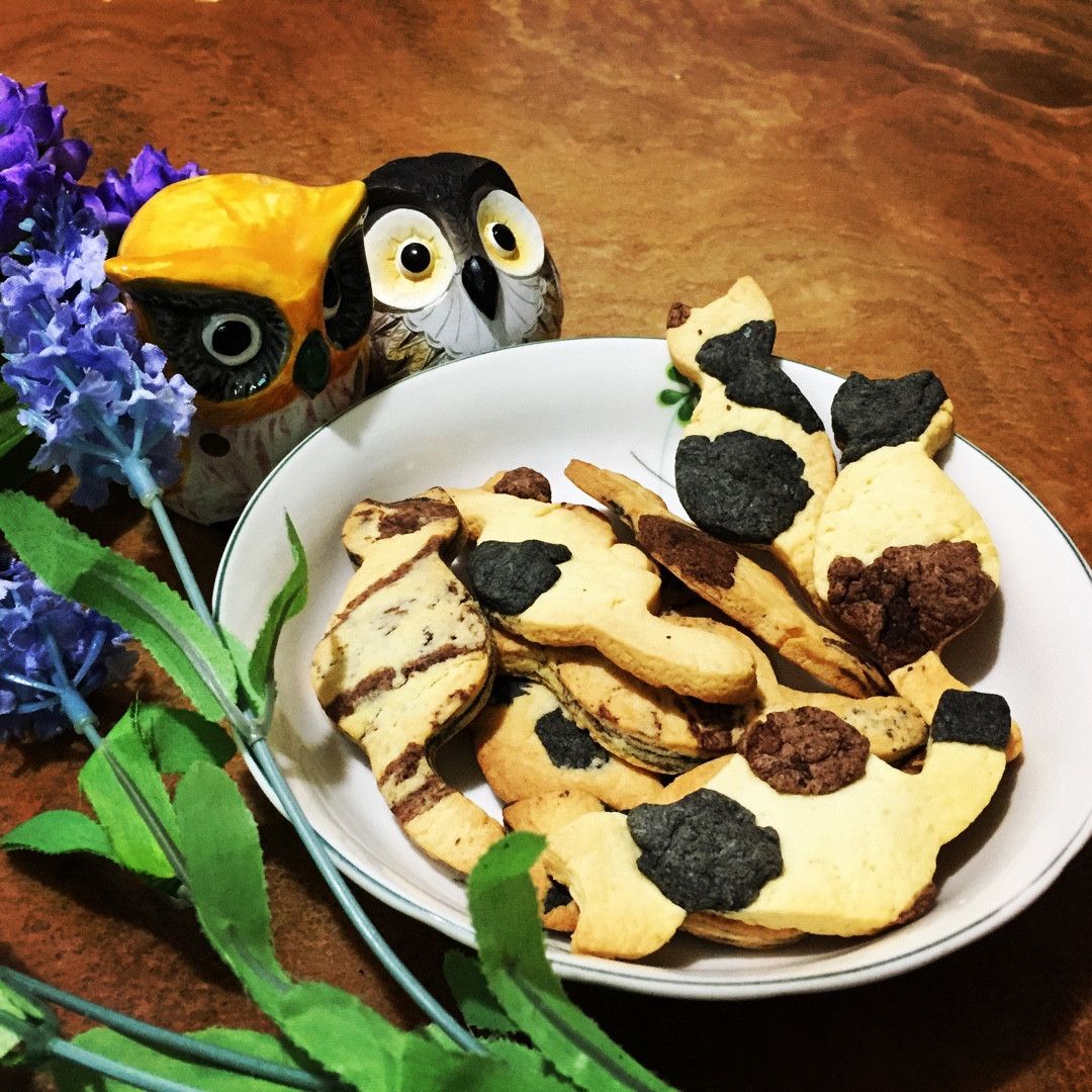 Jing-Wen Yu 一起做