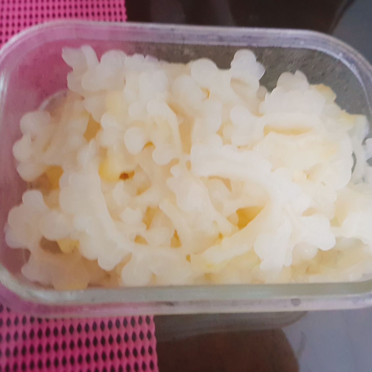 Caelyn Zhu 一起做