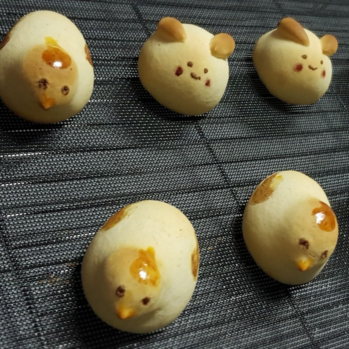 Janice's Bak Lab 一起做