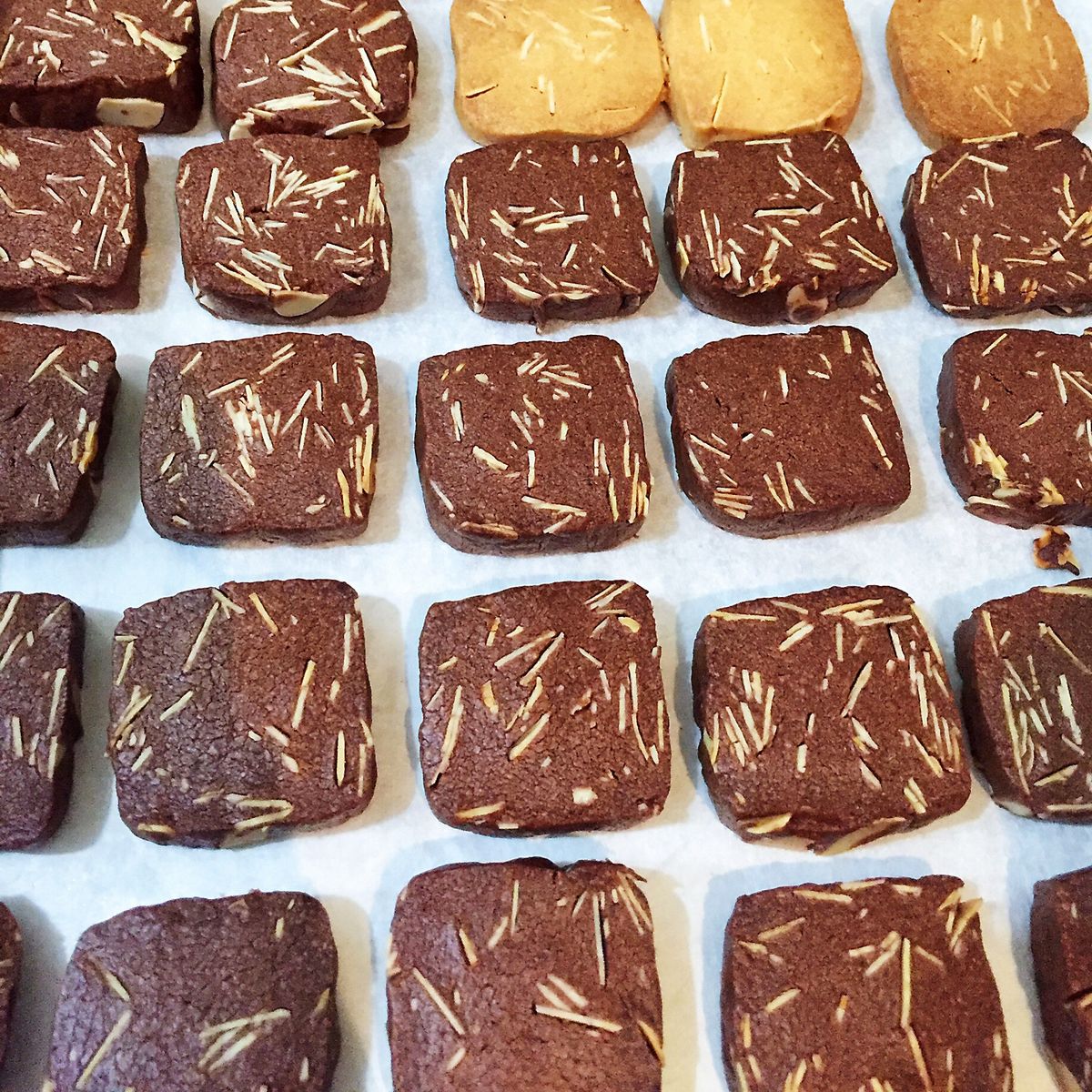 YiShan Yang 一起做