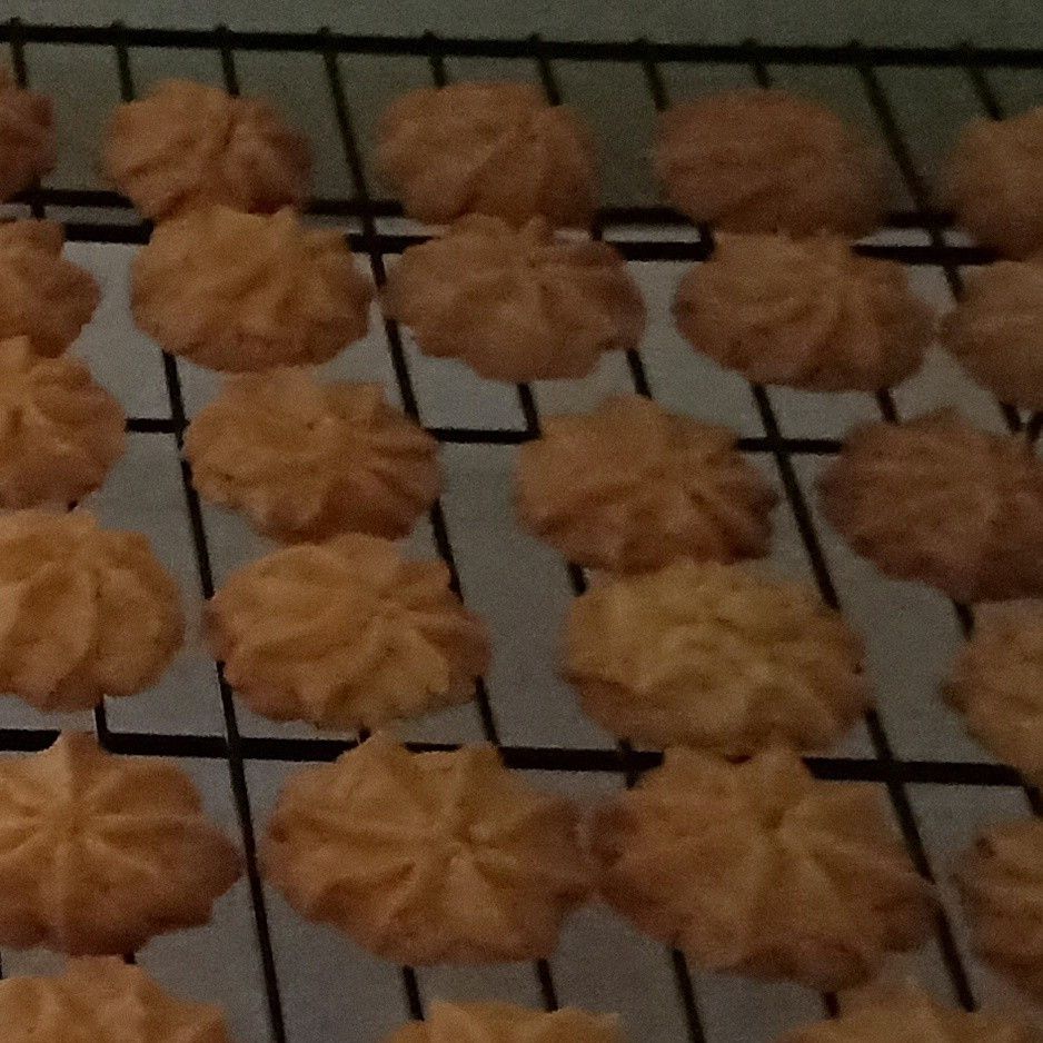 貓貓凱蒂 一起做