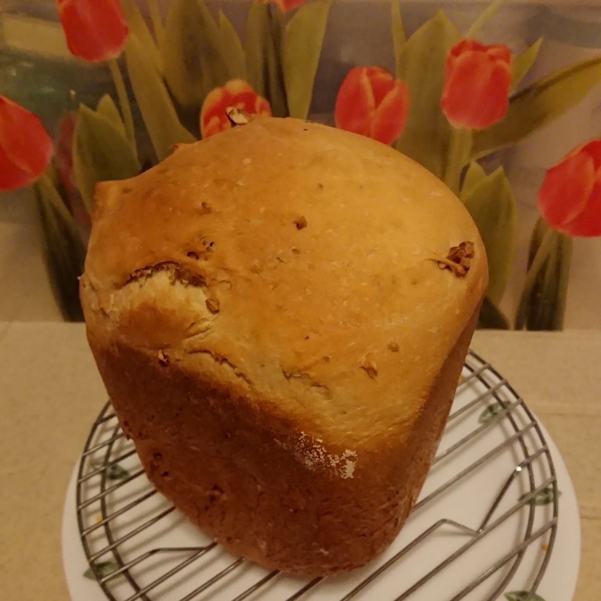 電電⚡⚡ 一起做