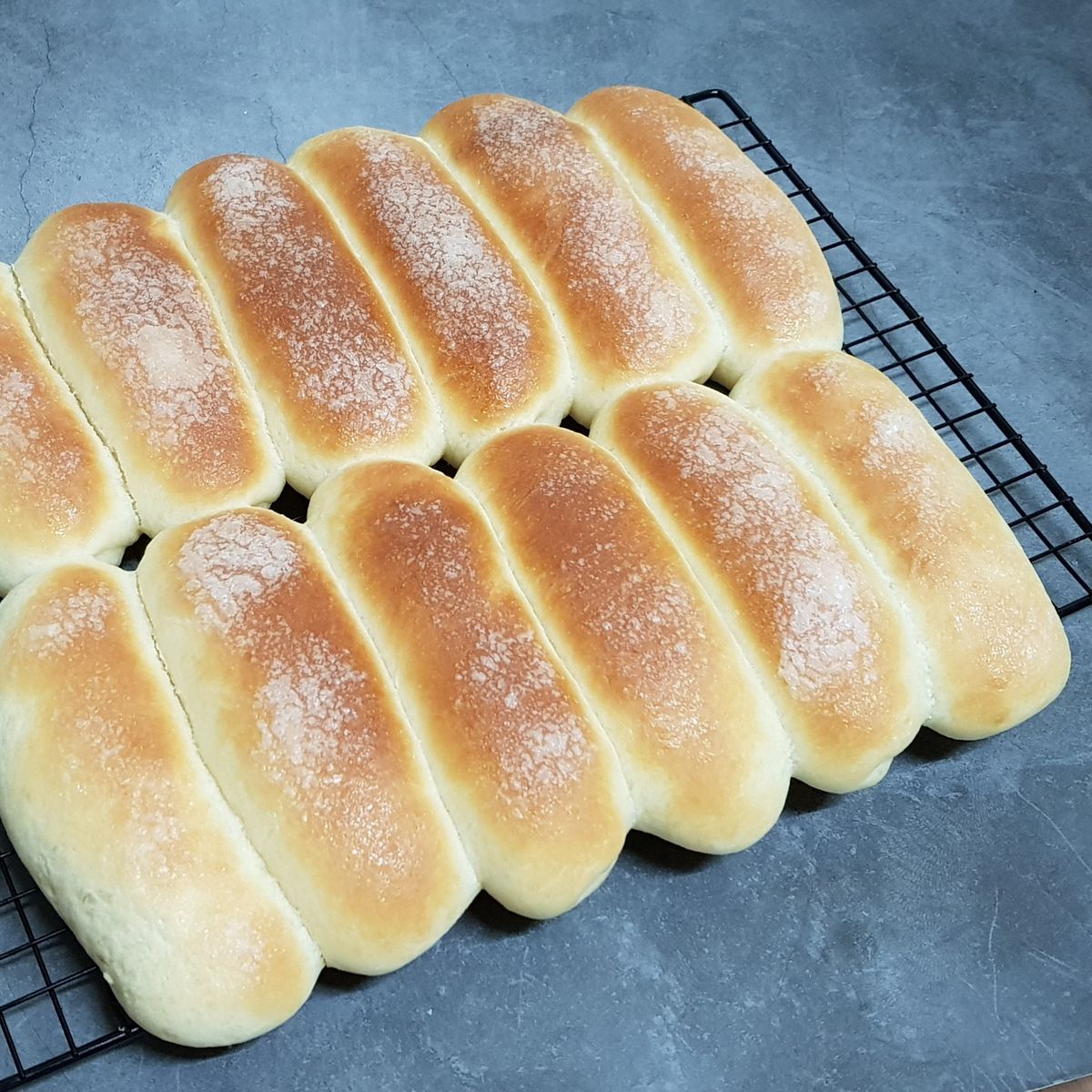 Janice's Bak Lab 一起做