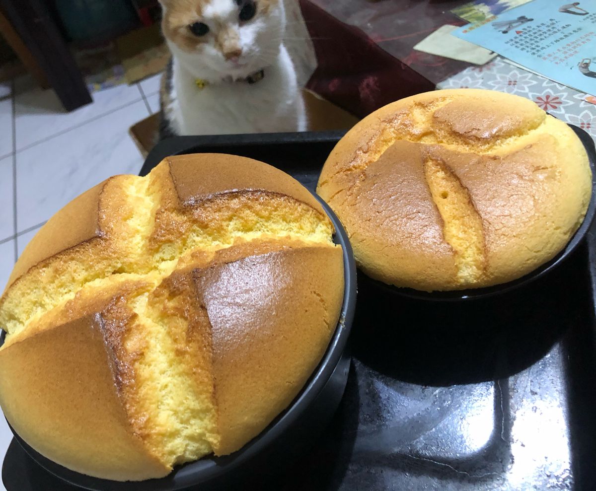 九層塔 一起做