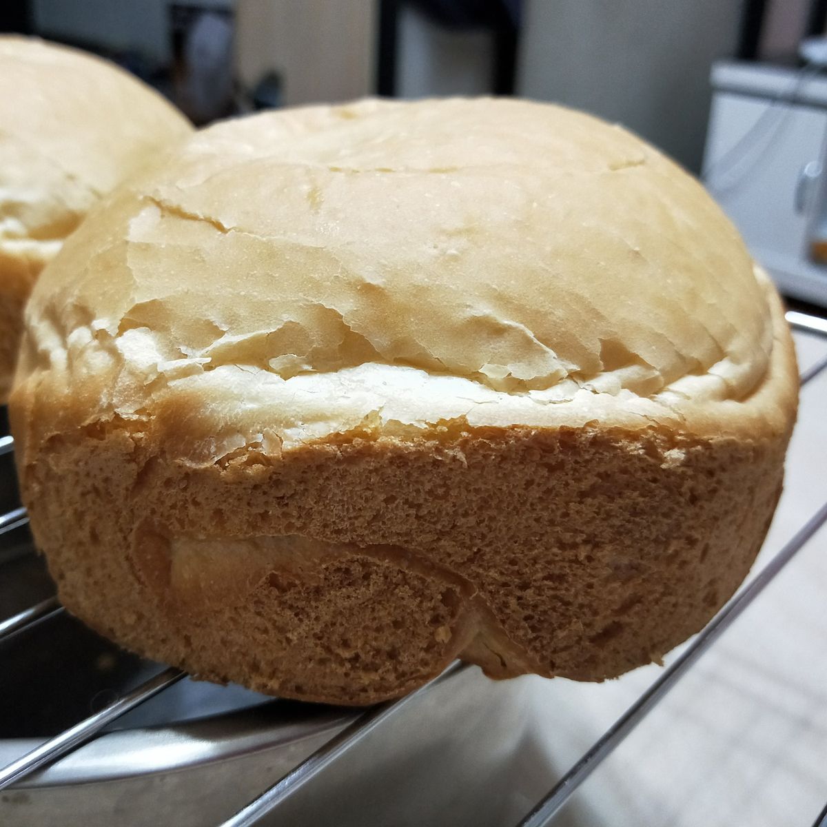 LaLa Chuang 一起做