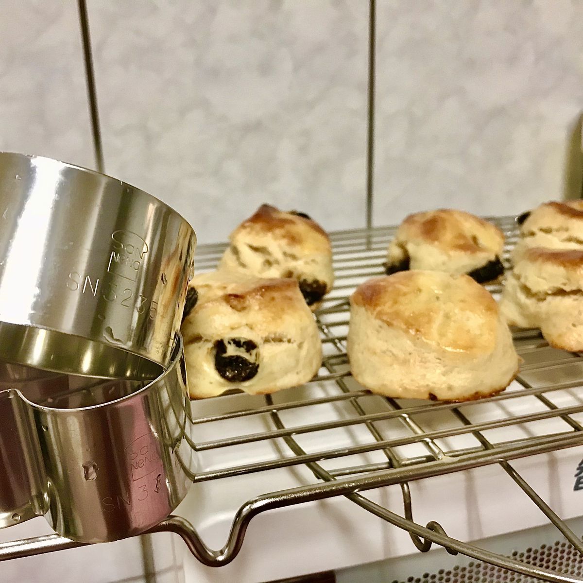 Lasiton Lion 一起做