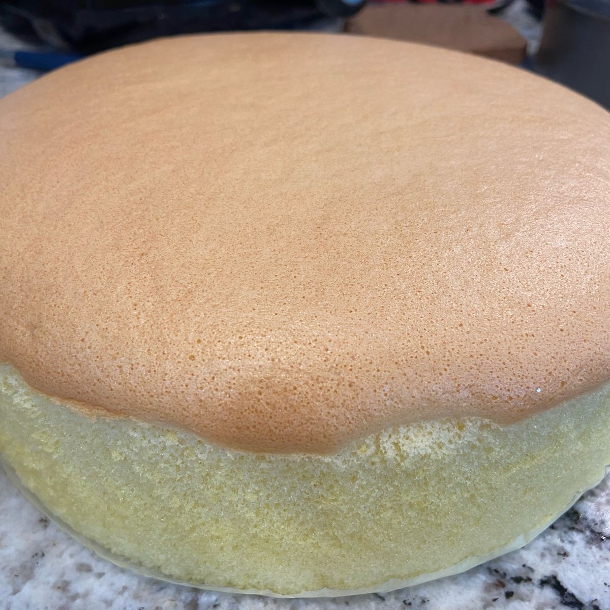 Priscilla Ho 一起做