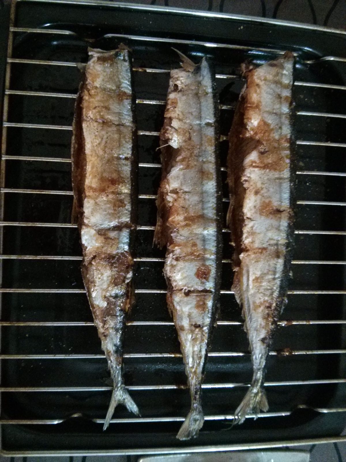 bulgarskarose  一起做