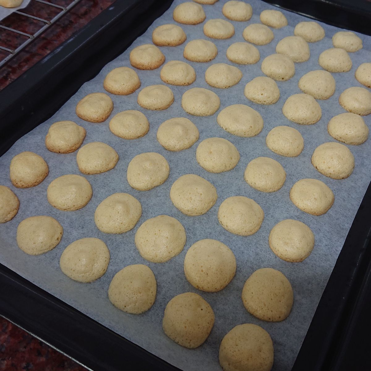 想想馬彌 一起做