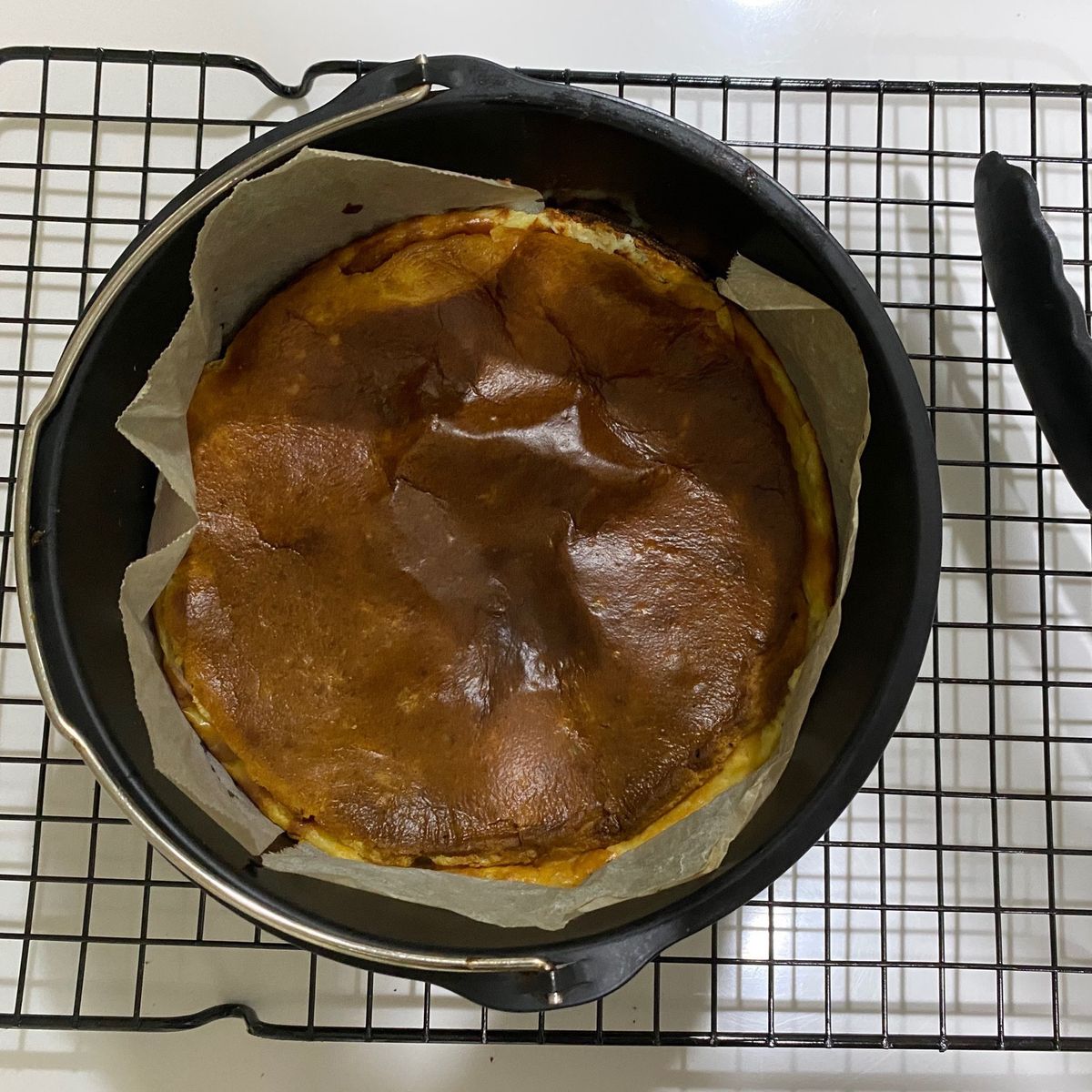 成天遊走在廚房的貓 一起做