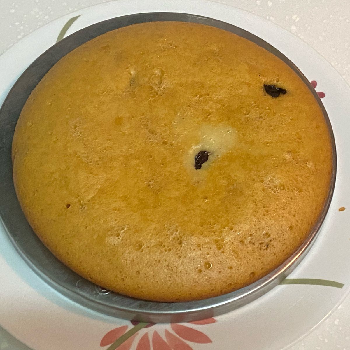 喬瑟芬喵 一起做