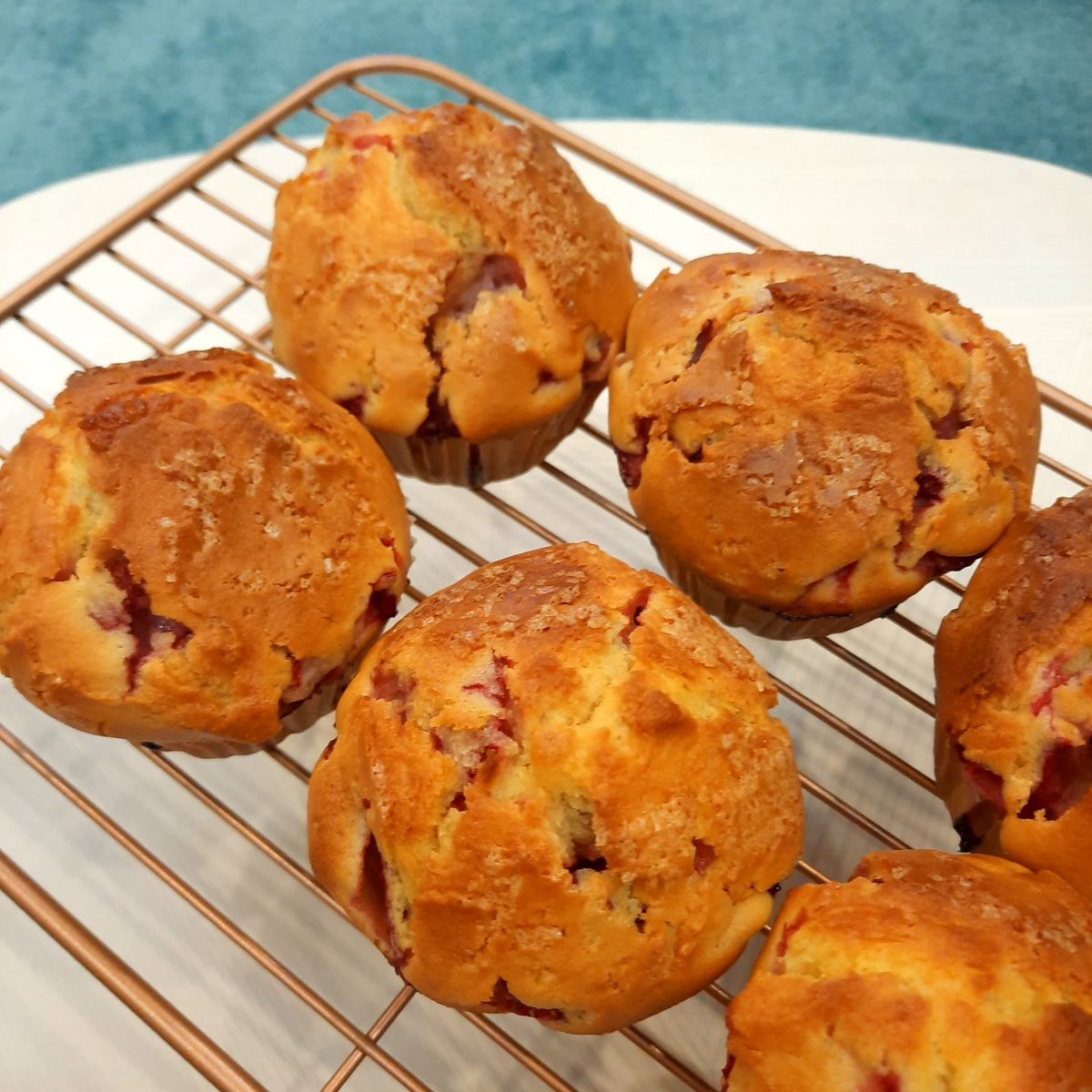 Lydia Yang 一起做