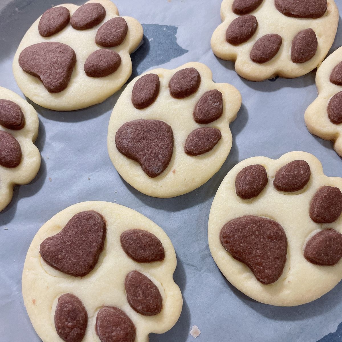 Jessica Chen 一起做