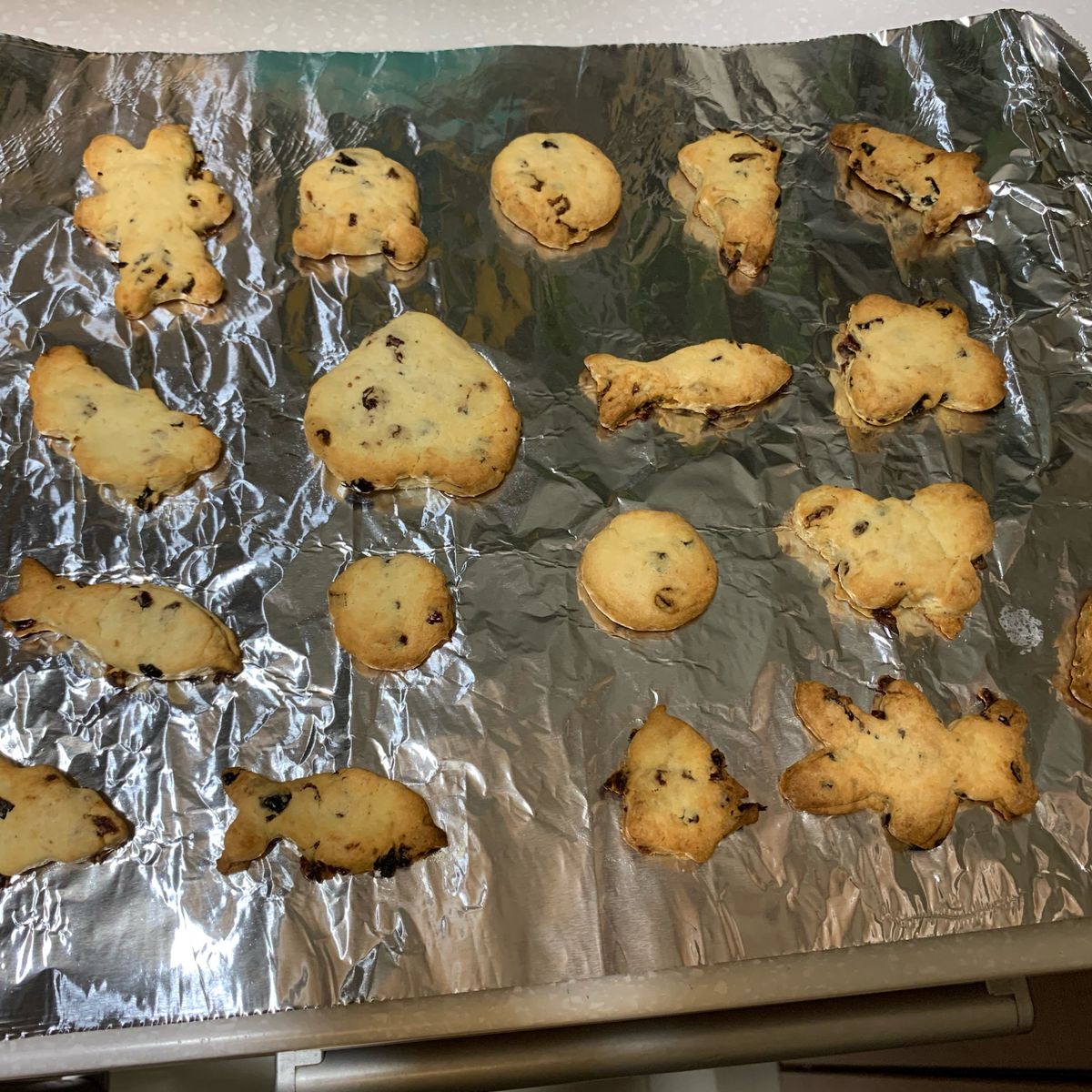 Ariel Huang 一起做