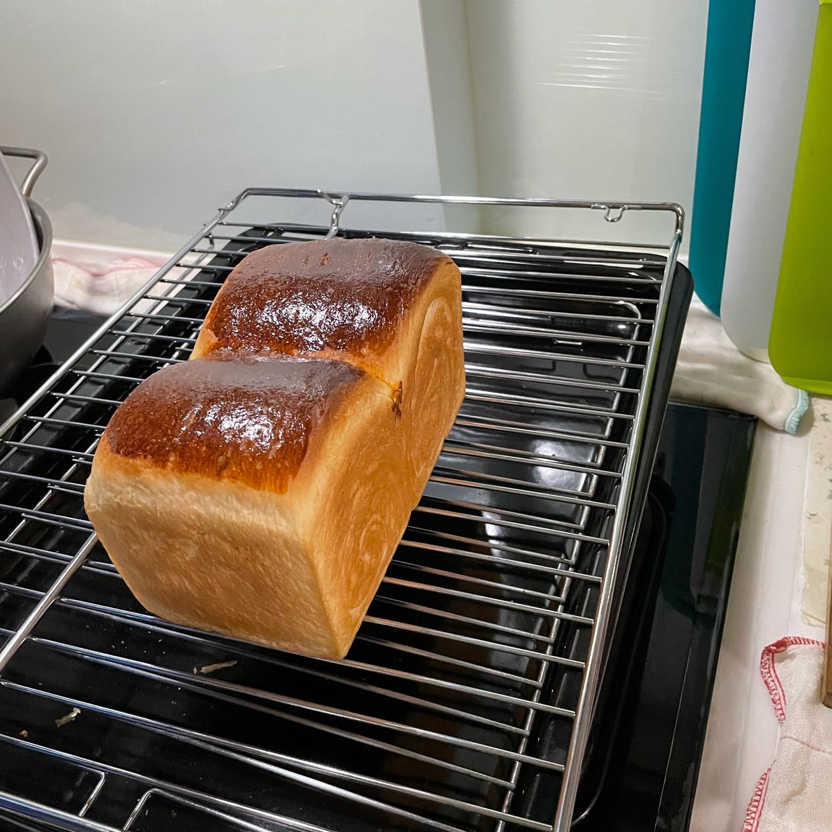 Fan Ting Hung 一起做