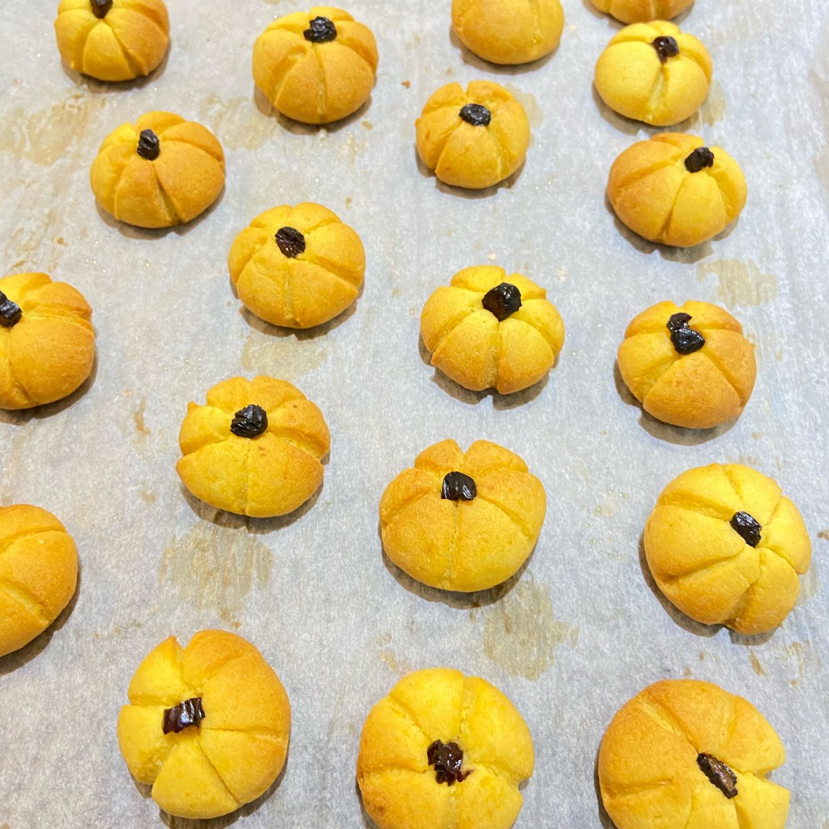 Cannie Chei 一起做