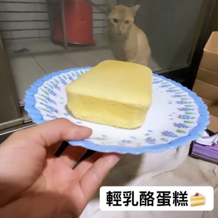 33來吃🦄️ 一起做