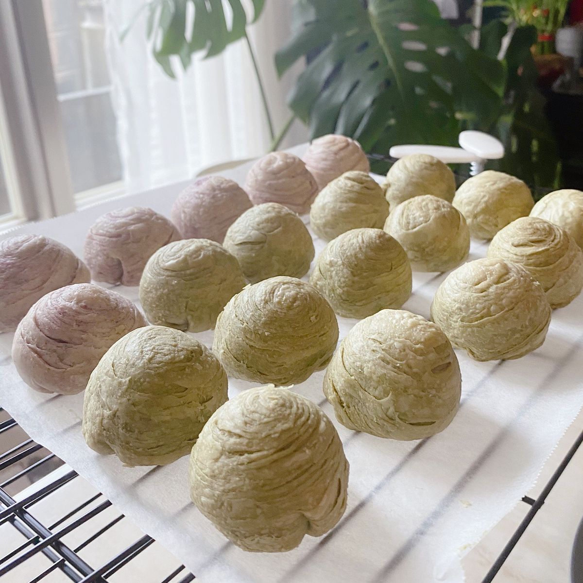 Chen Yi Shin 一起做