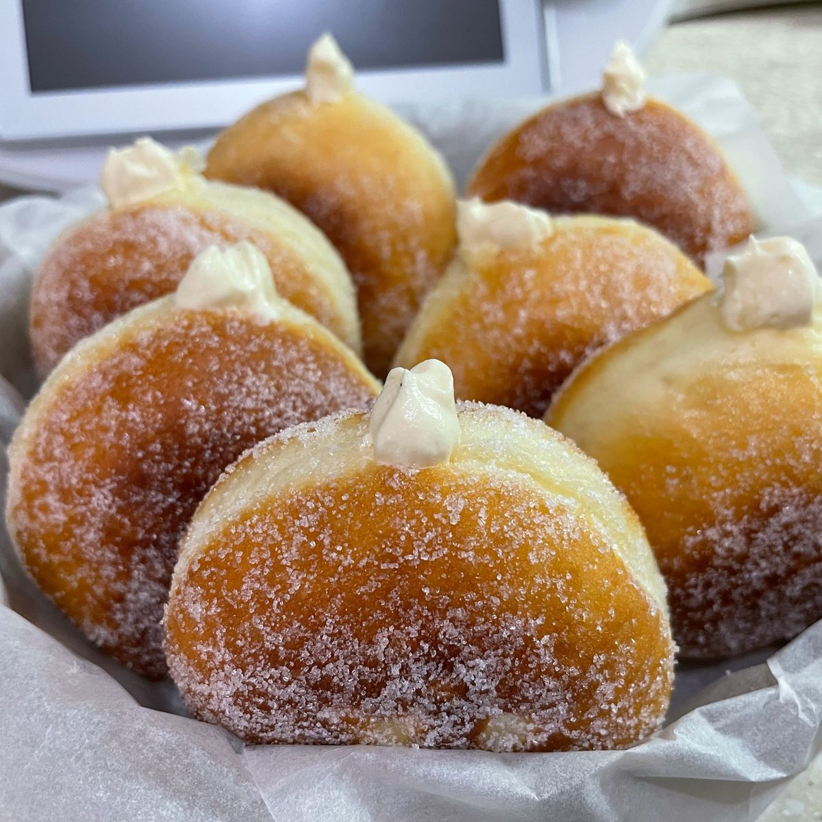 Hippoling Lo 一起做