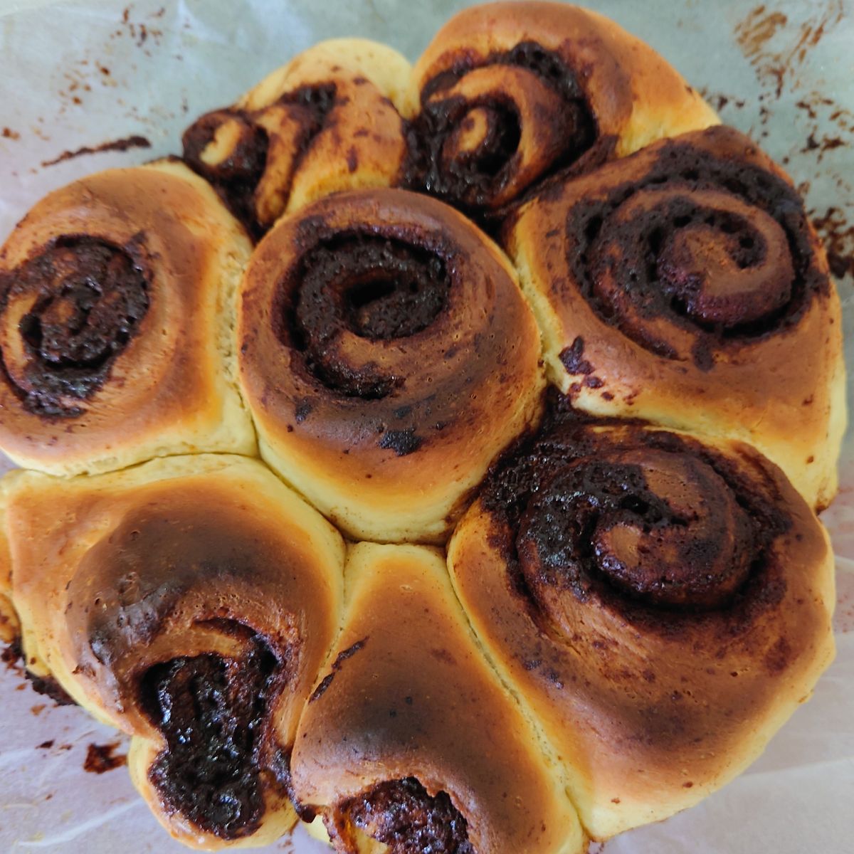 Joseph Lee 一起做