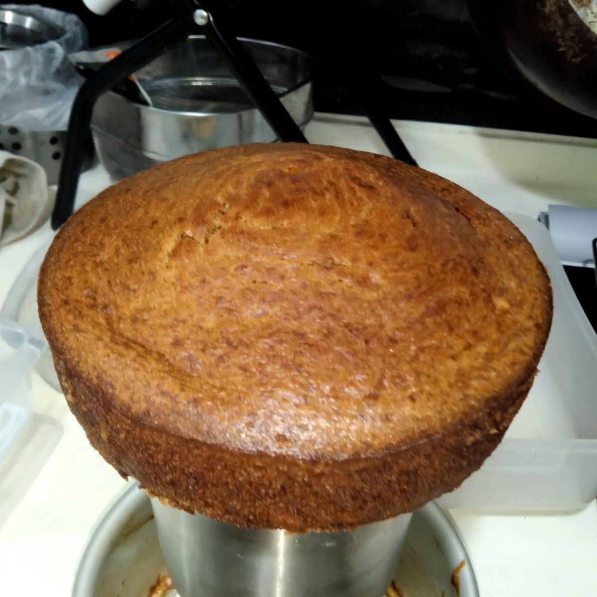 楊竣宇Santi 一起做