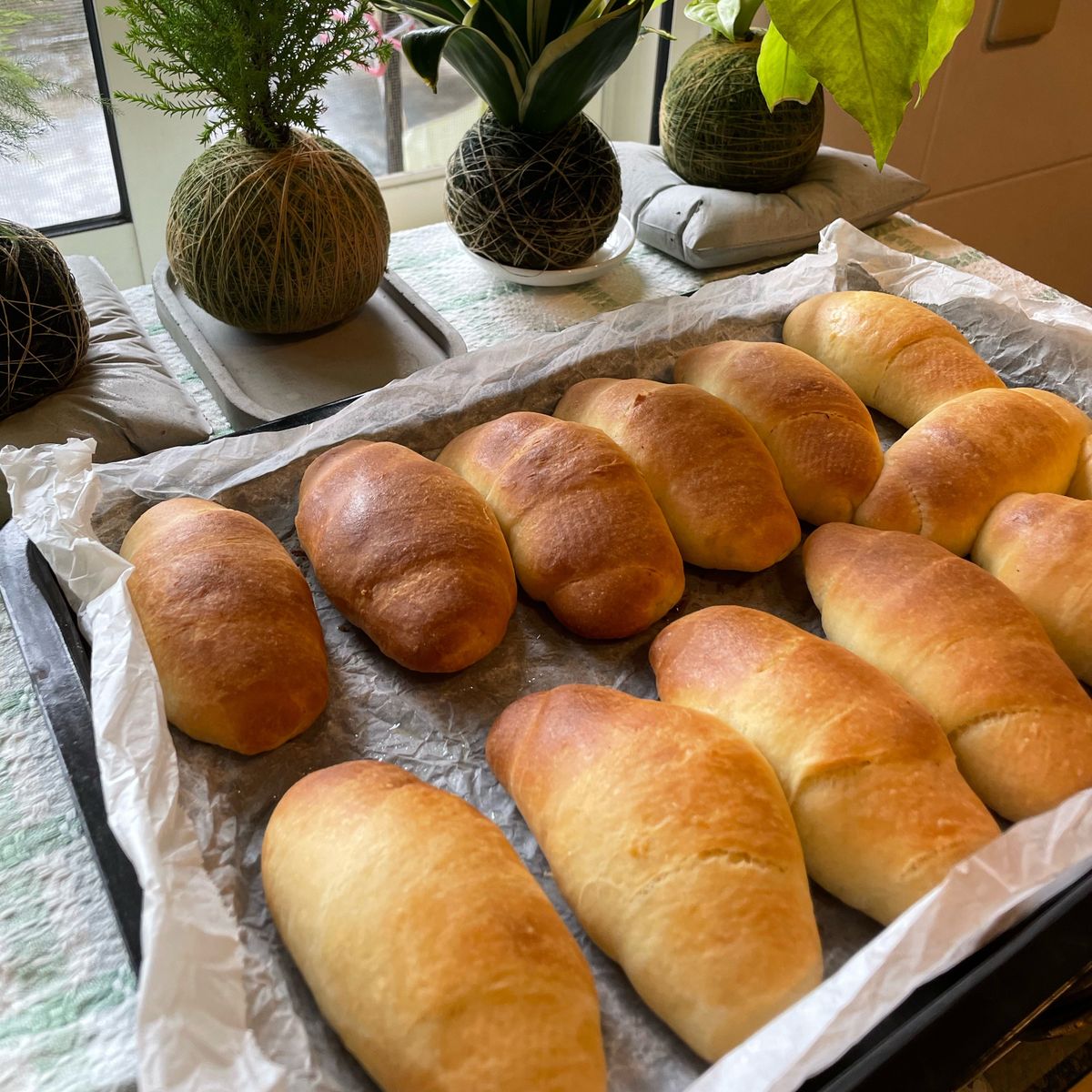 Yi-Jing Chan 一起做