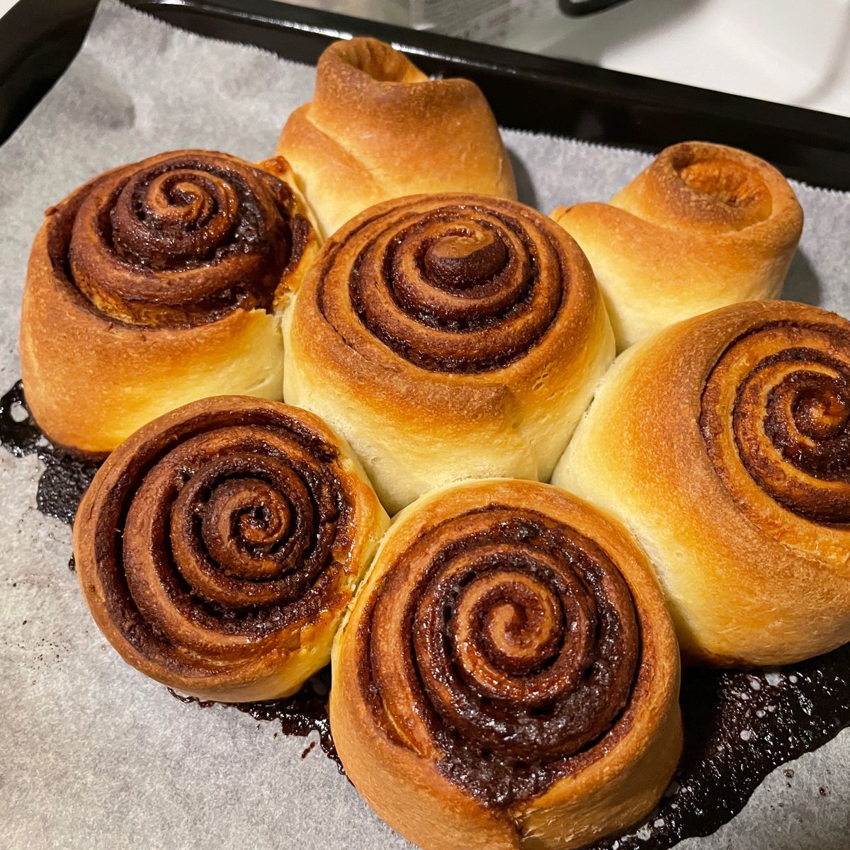 波奇烘焙貓咪 一起做