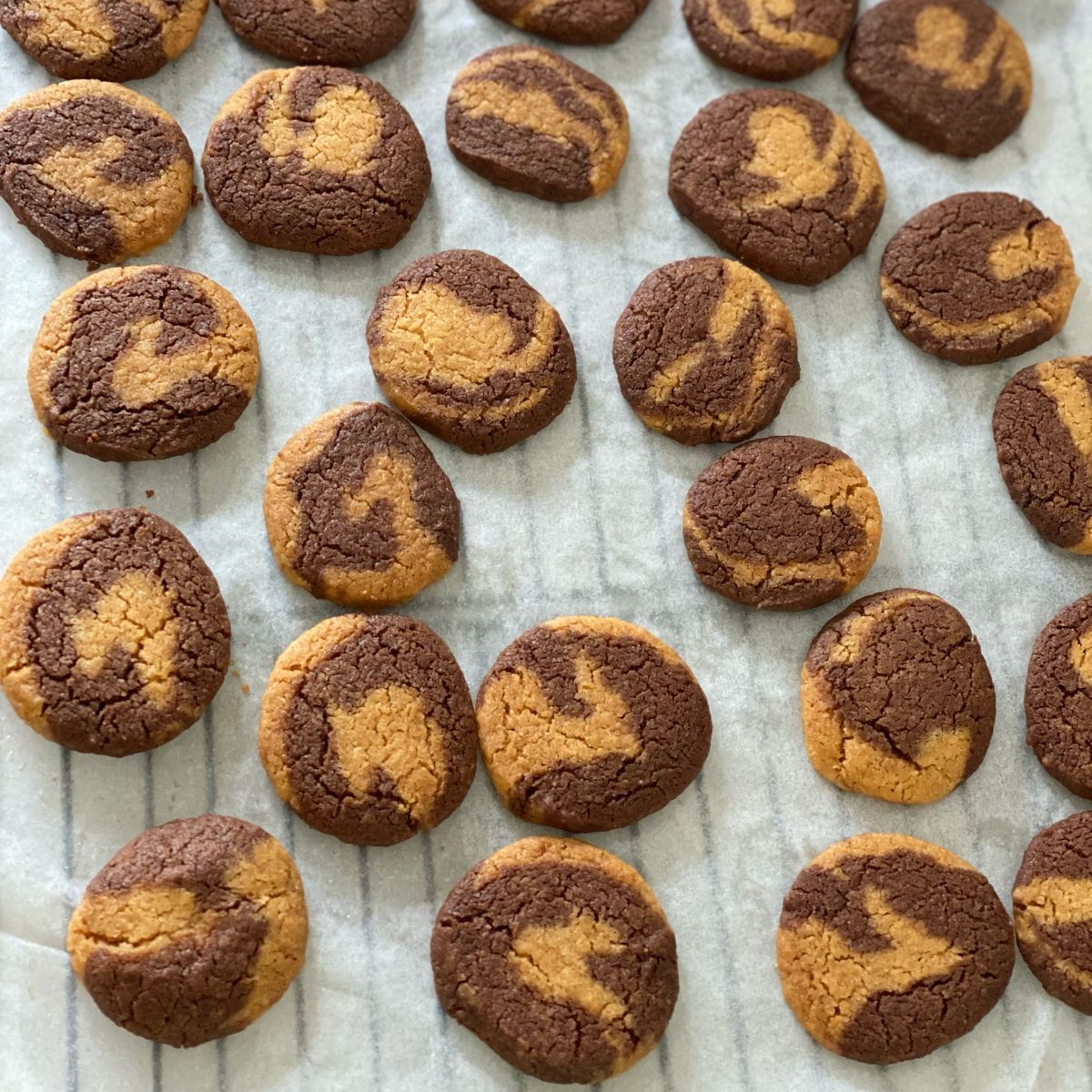 Teresa Chui 一起做