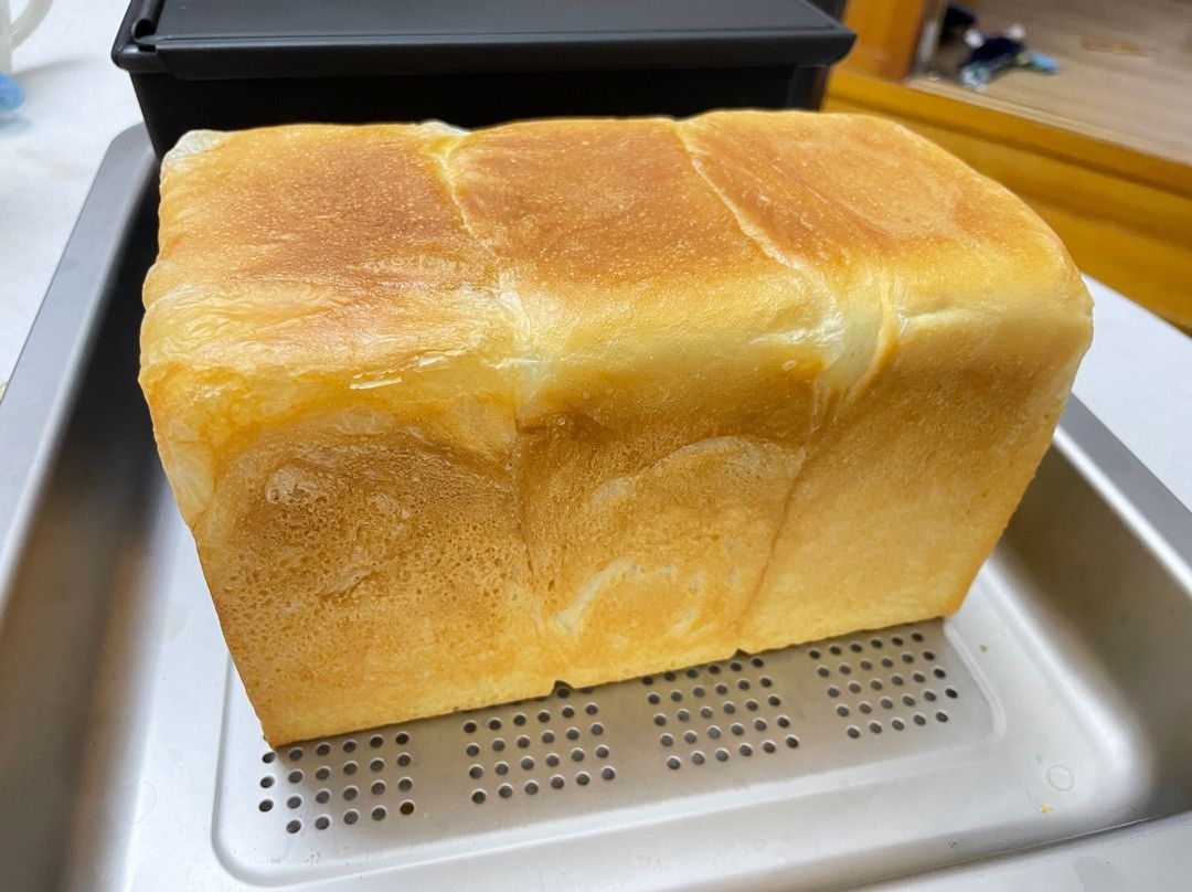 Tanya Chen CY 一起做