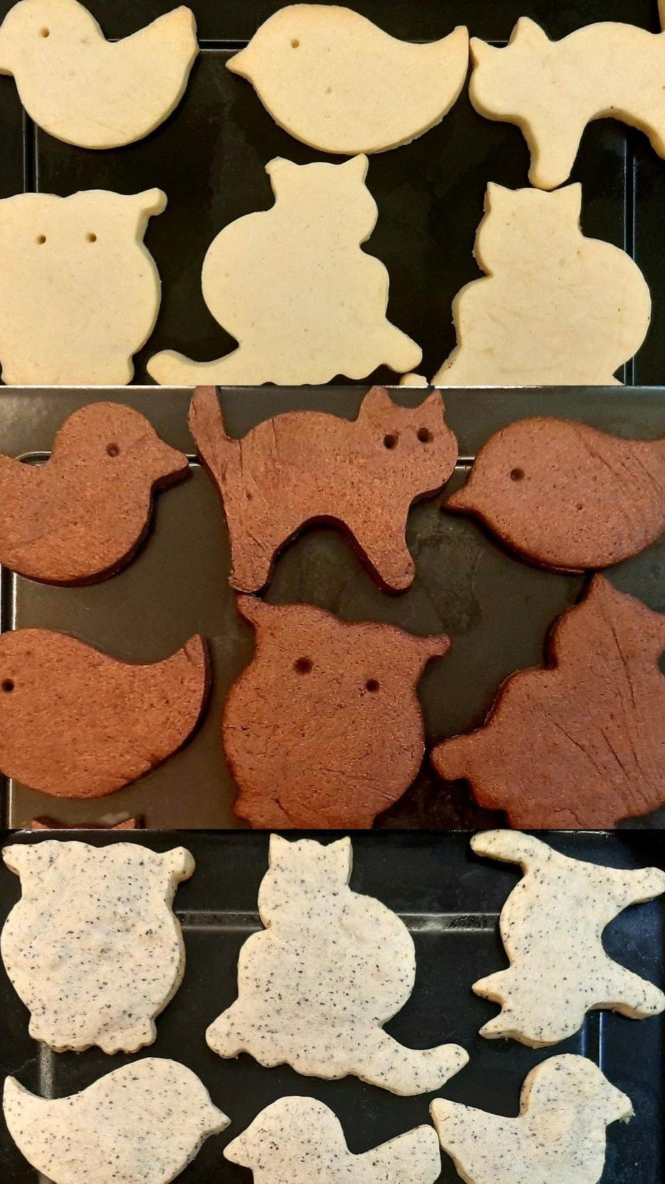 楸'ˢ ᶜᵒᵒᵏⁱⁿᵍ 一起做