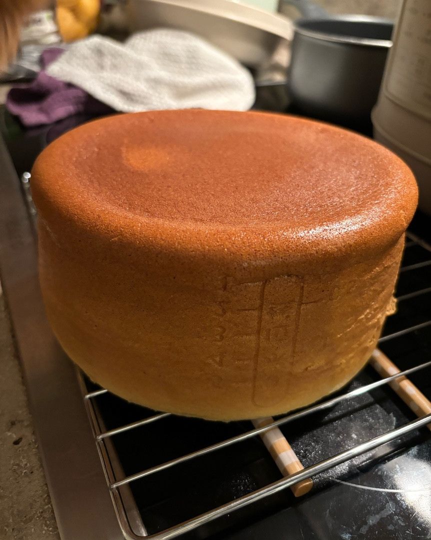 Tsung-Chih Lee 一起做