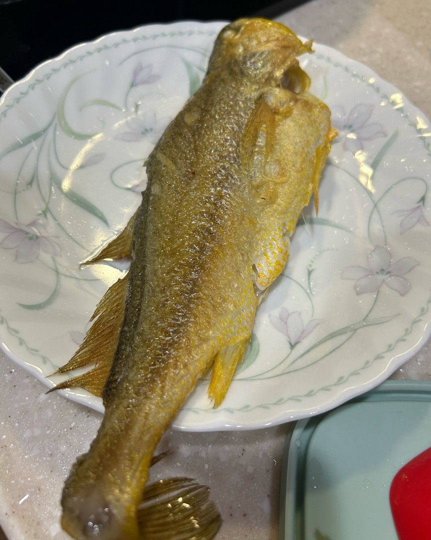 愛睡搞搞的貓 一起做