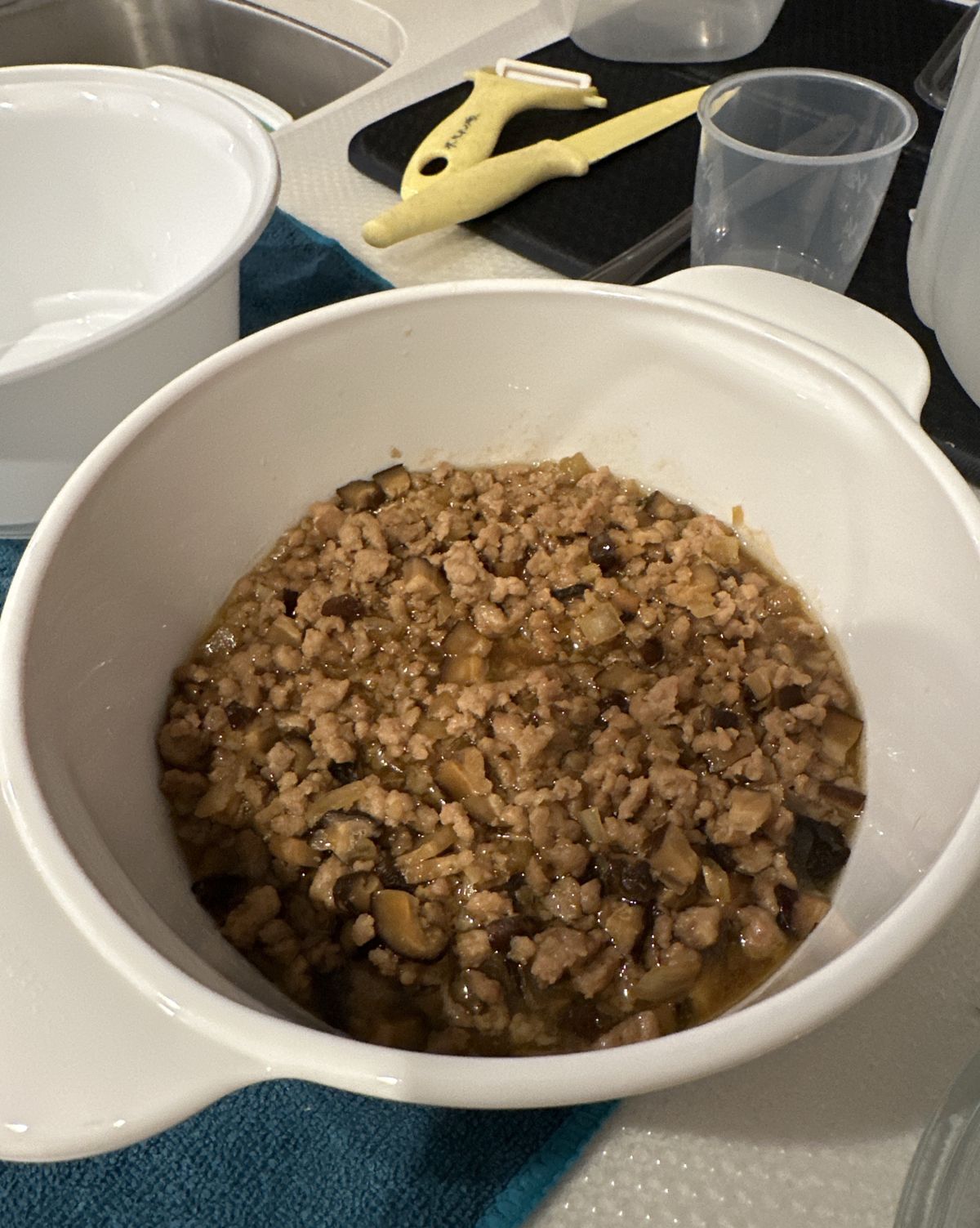 Karina Liu 一起做