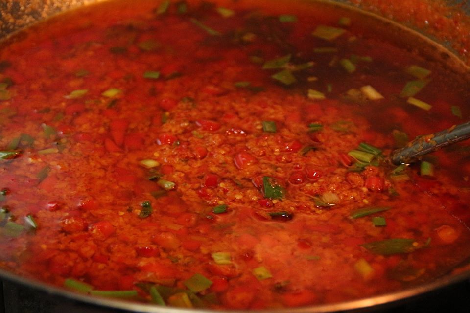 Juan Juan Liao 一起做