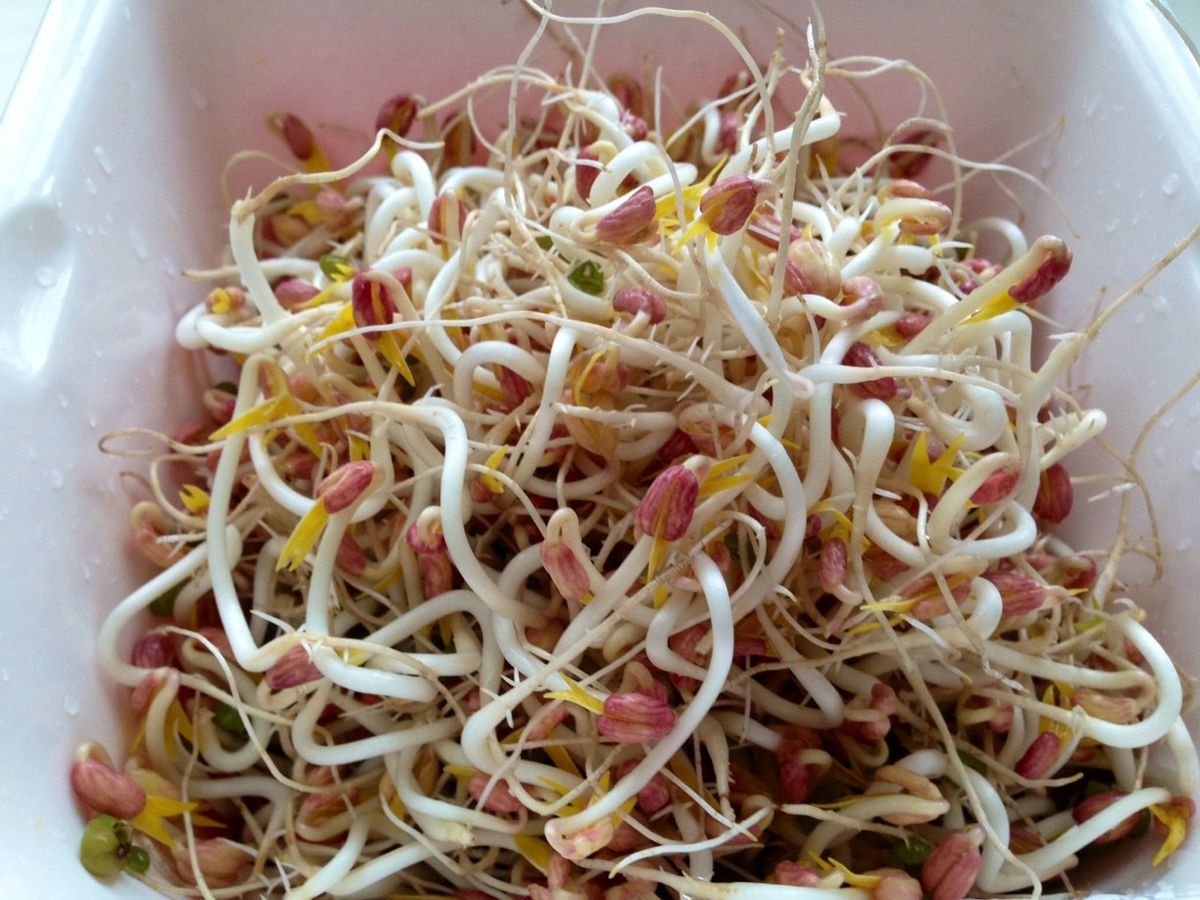 Milly Tsao 一起做