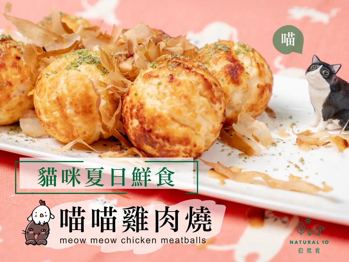 [寵物鮮食食譜]貓咪鮮食雞肉燒