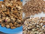 麻婆豆腐燴貓耳朵麵
