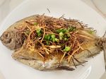 乾煎黑鯧魚