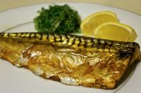 香烤挪威鹽漬鯖魚