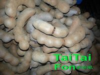 ♦泰泰風♦羅望子 羅旺子盛產 別買錯了喲