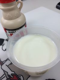 自製原味低卡低糖 健康鮮奶酪