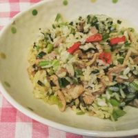 自家製雪裡紅肉絲炒飯