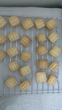 一口芝麻方塊酥