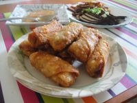 愛蜜莉廚房:亂亂做炸春捲