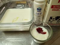 幸福優格（烤箱+優酪乳篇）